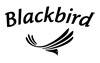 Blackbird Guitars
