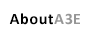 About ARAS